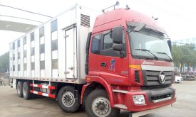 豬仔運(yùn)輸車/小豬運(yùn)輸車/運(yùn)豬車/畜禽運(yùn)輸車價格